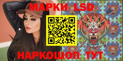 гашик Нальчик