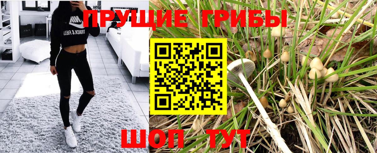 Псилоцибиновые грибы мухоморы Тобольск